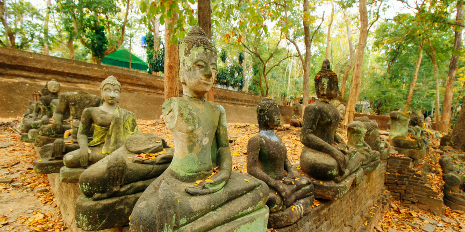 Wat Umong, Chiang Mai