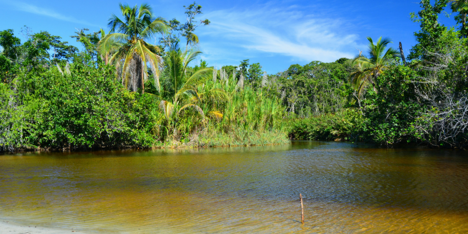 Parc national Cahuita