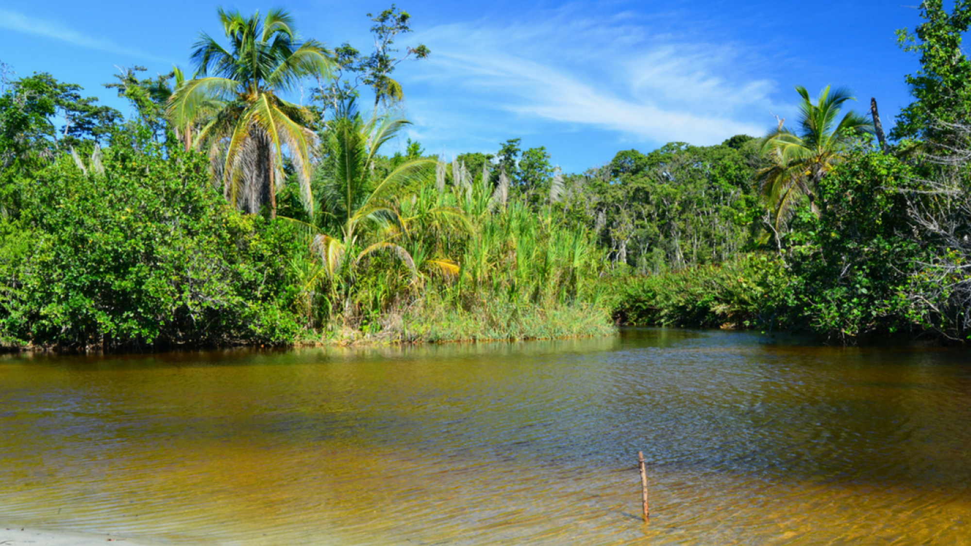 Parc national Cahuita