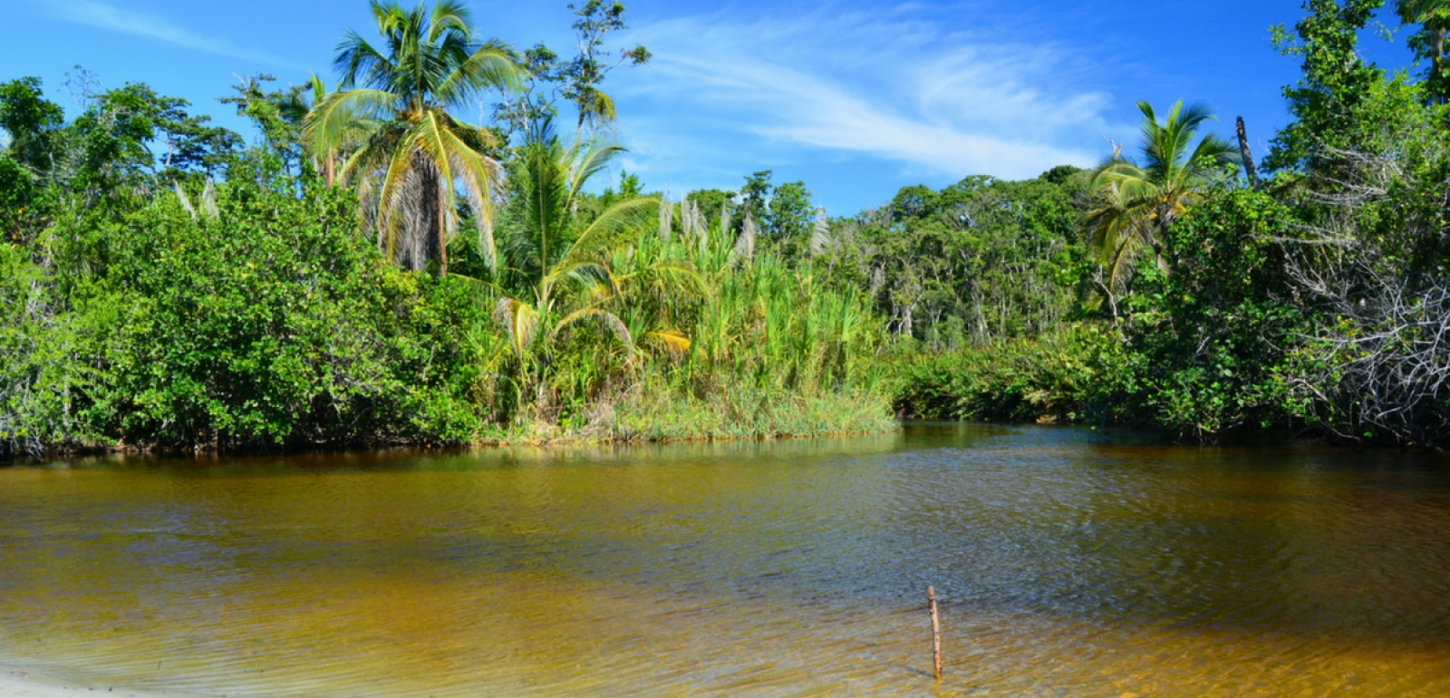 Parc national Cahuita