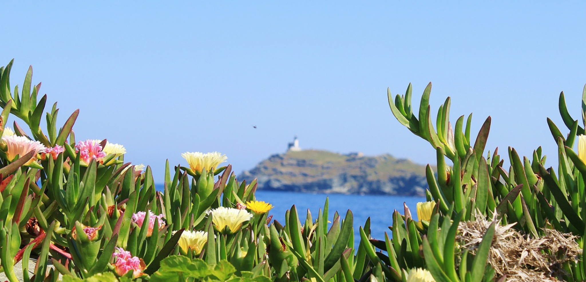 Des paysages naturels