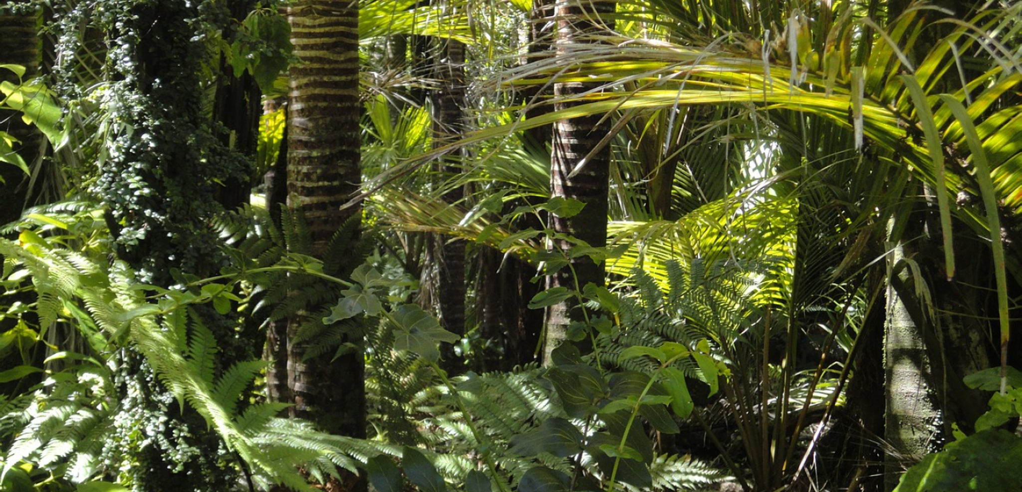 Découvrez les paysages sauvages