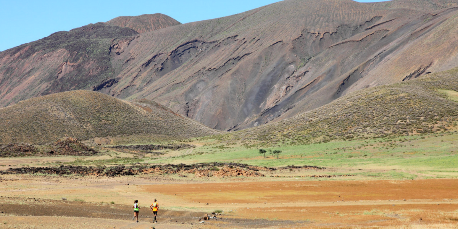 Admirez l'immensité de votre terrain de jeu