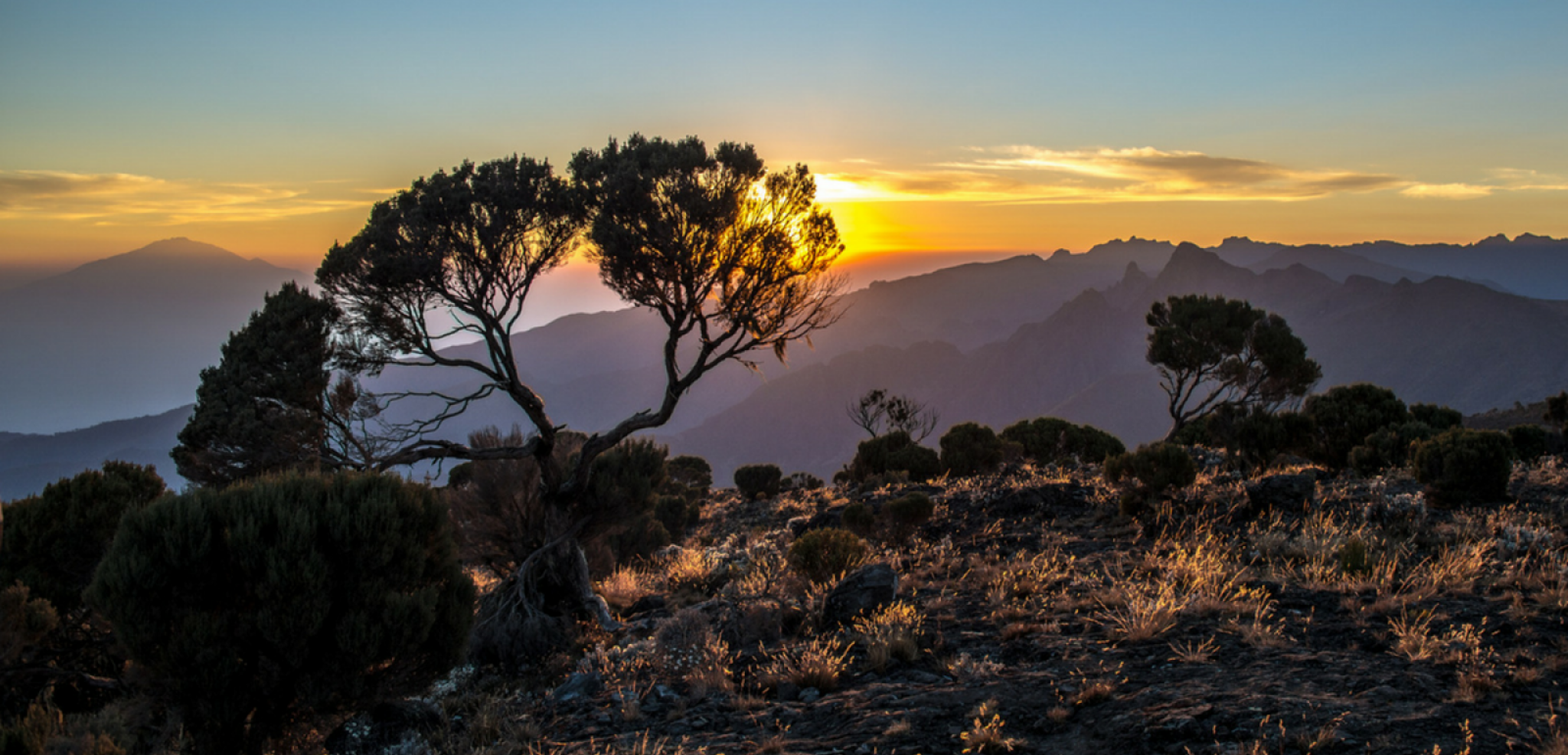 Douce nuit les copines