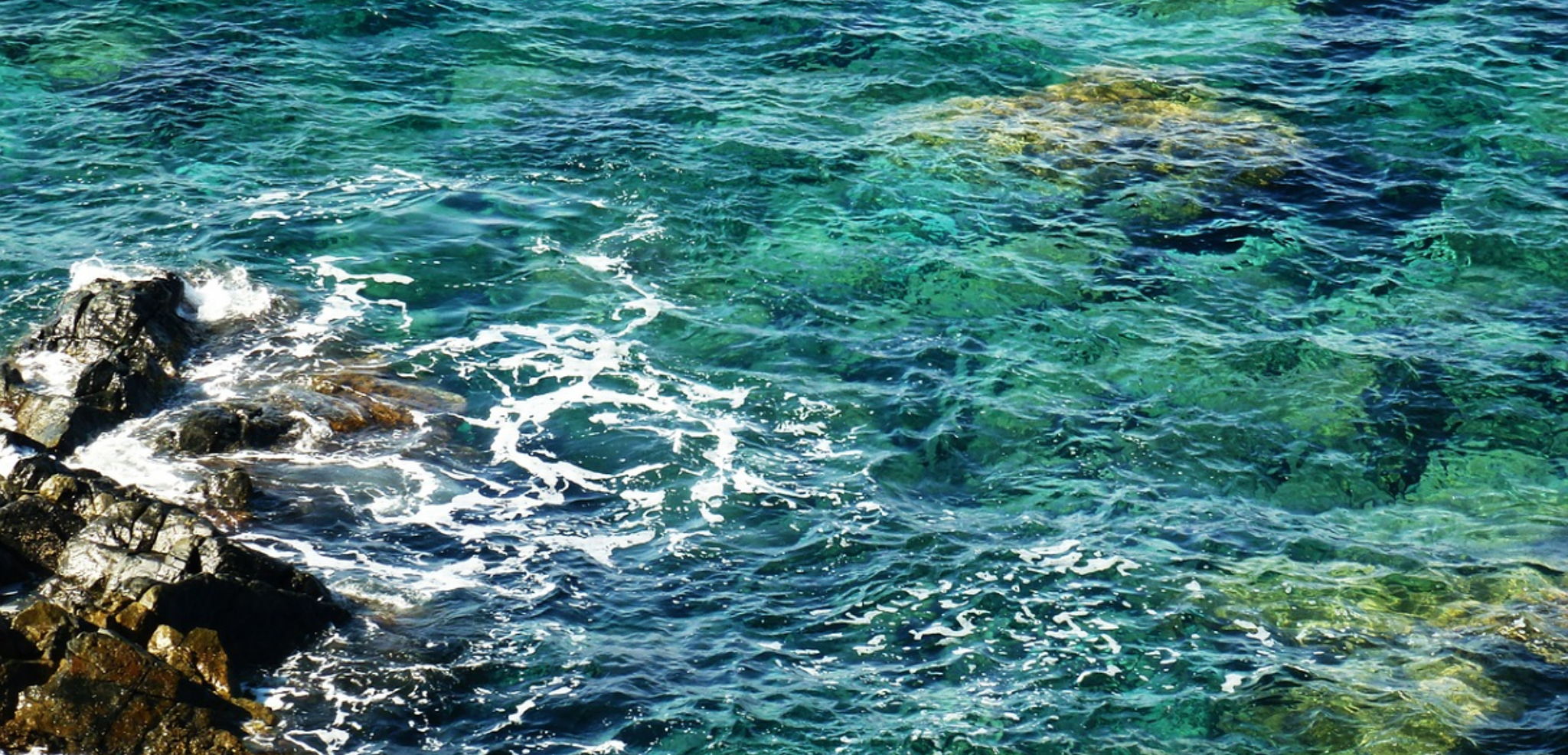 et des paysages aquatiques