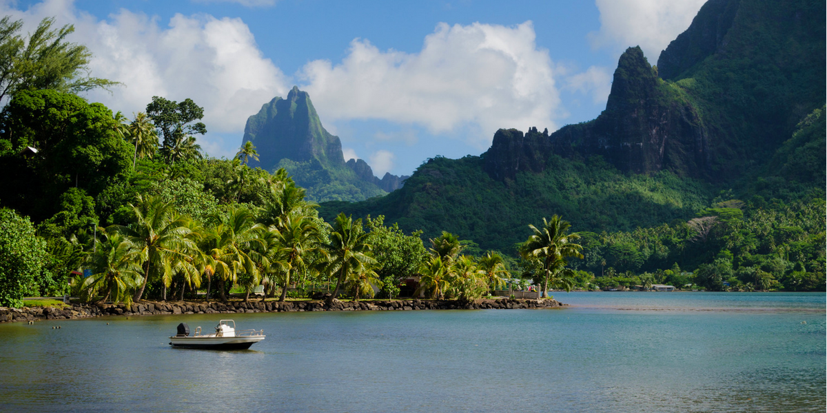 Et n'oubliez pas de PROFITER ! 