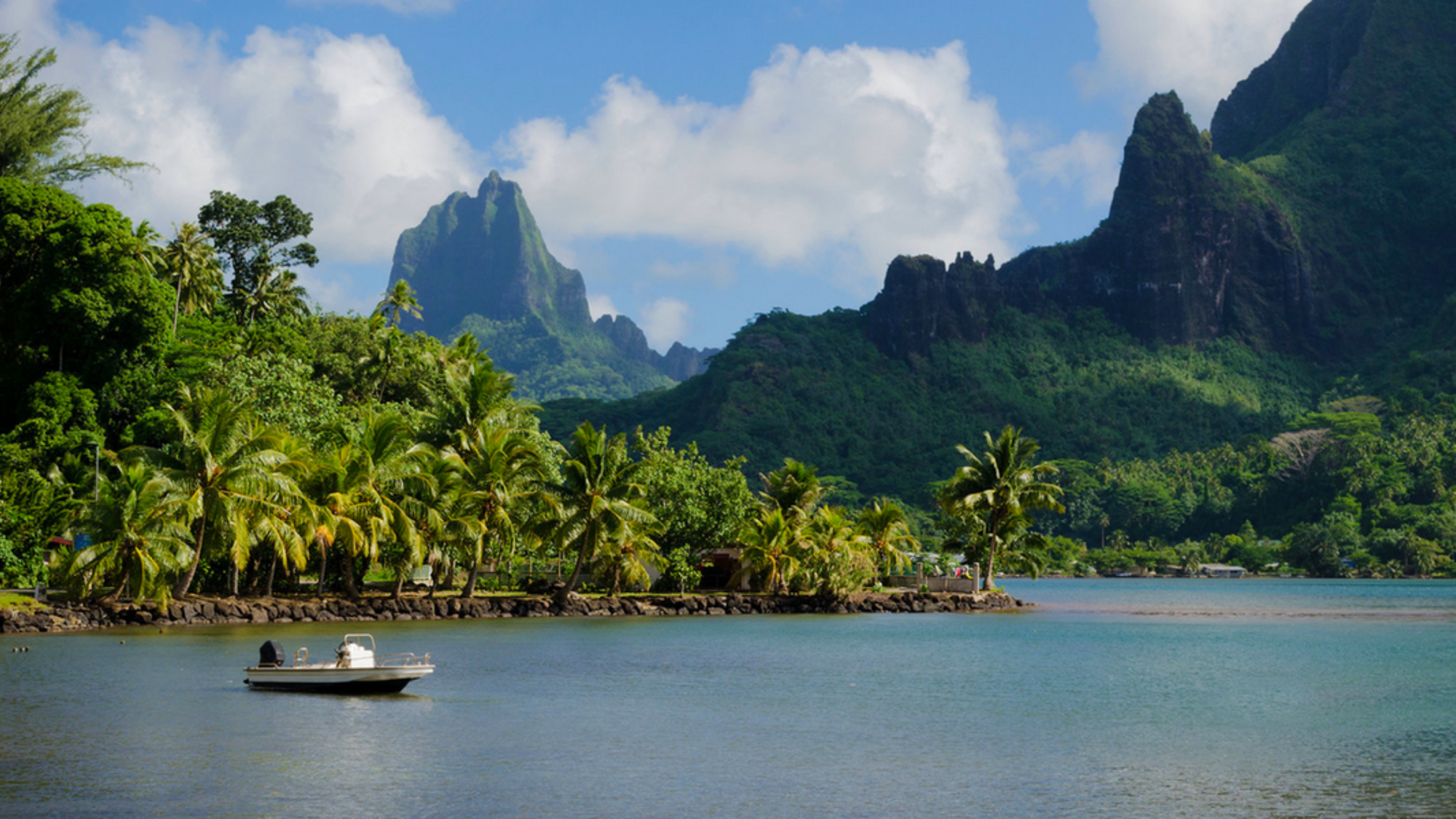 Et n'oubliez pas de PROFITER !