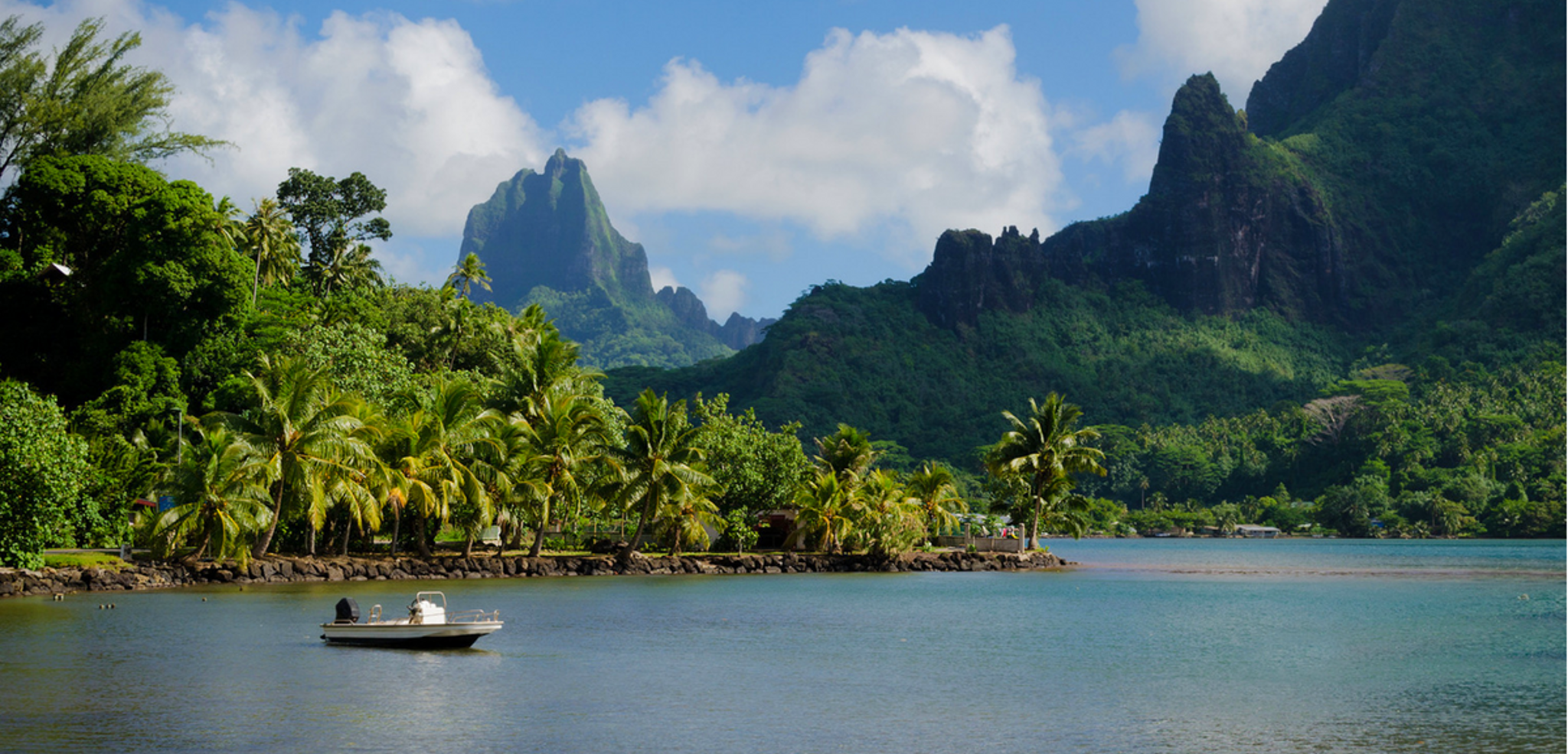 Et n'oubliez pas de PROFITER !