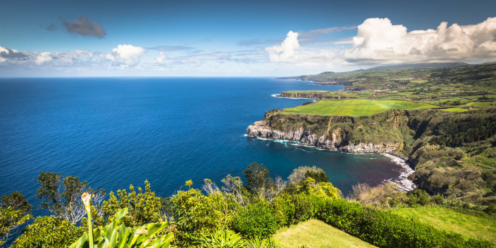 Les côtes escarpées de l'île