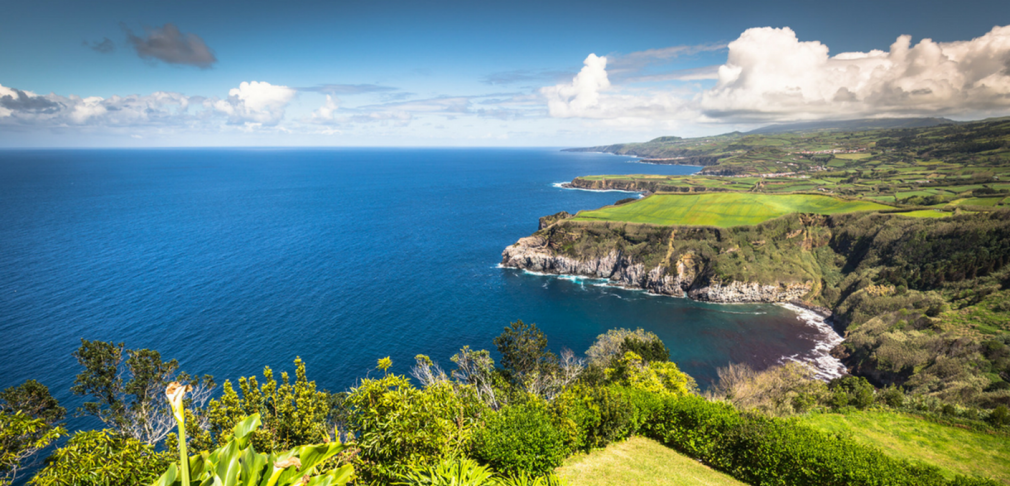Les côtes escarpées de l'île