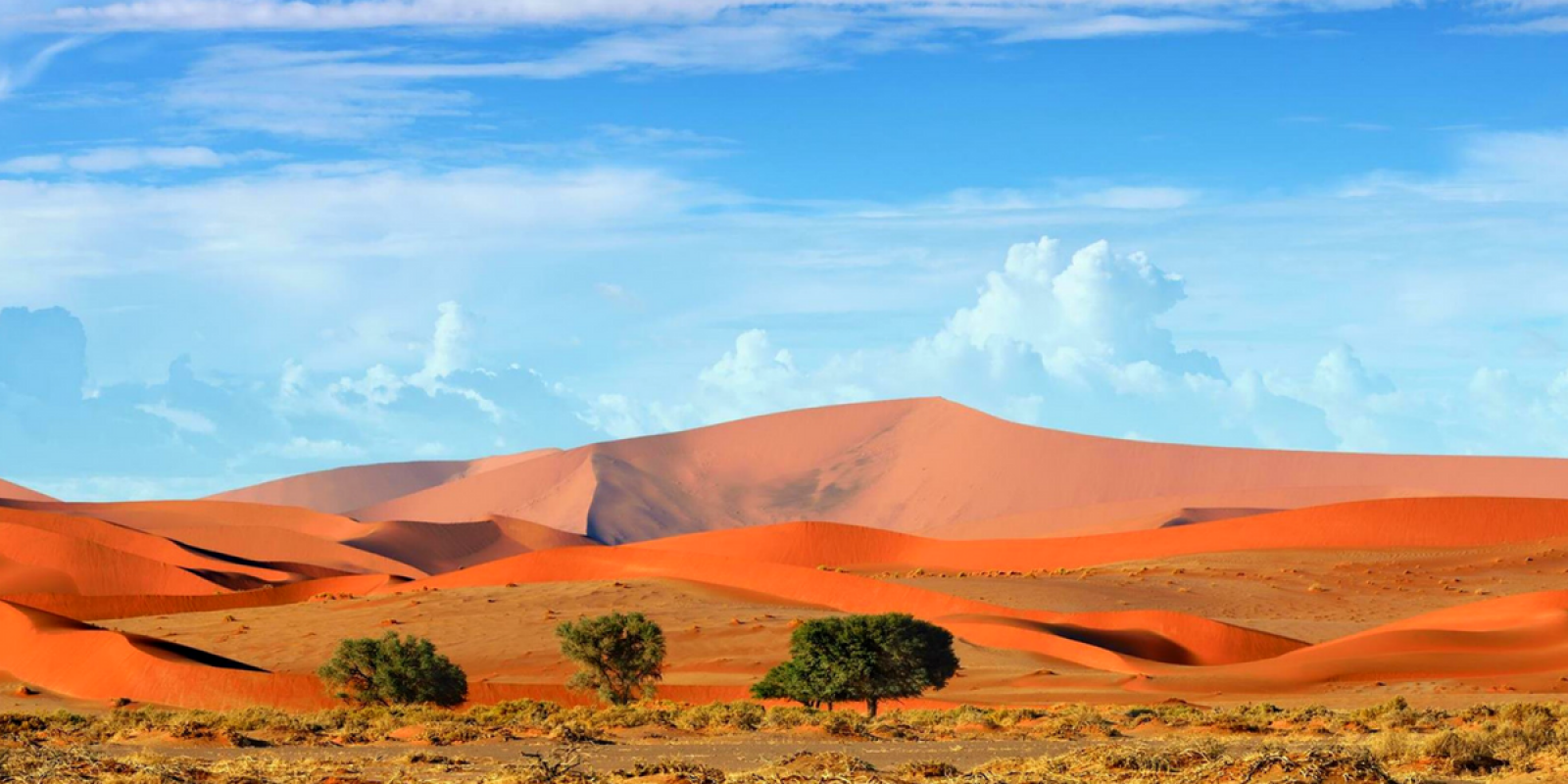 Des paysages incroyables vous attendent !