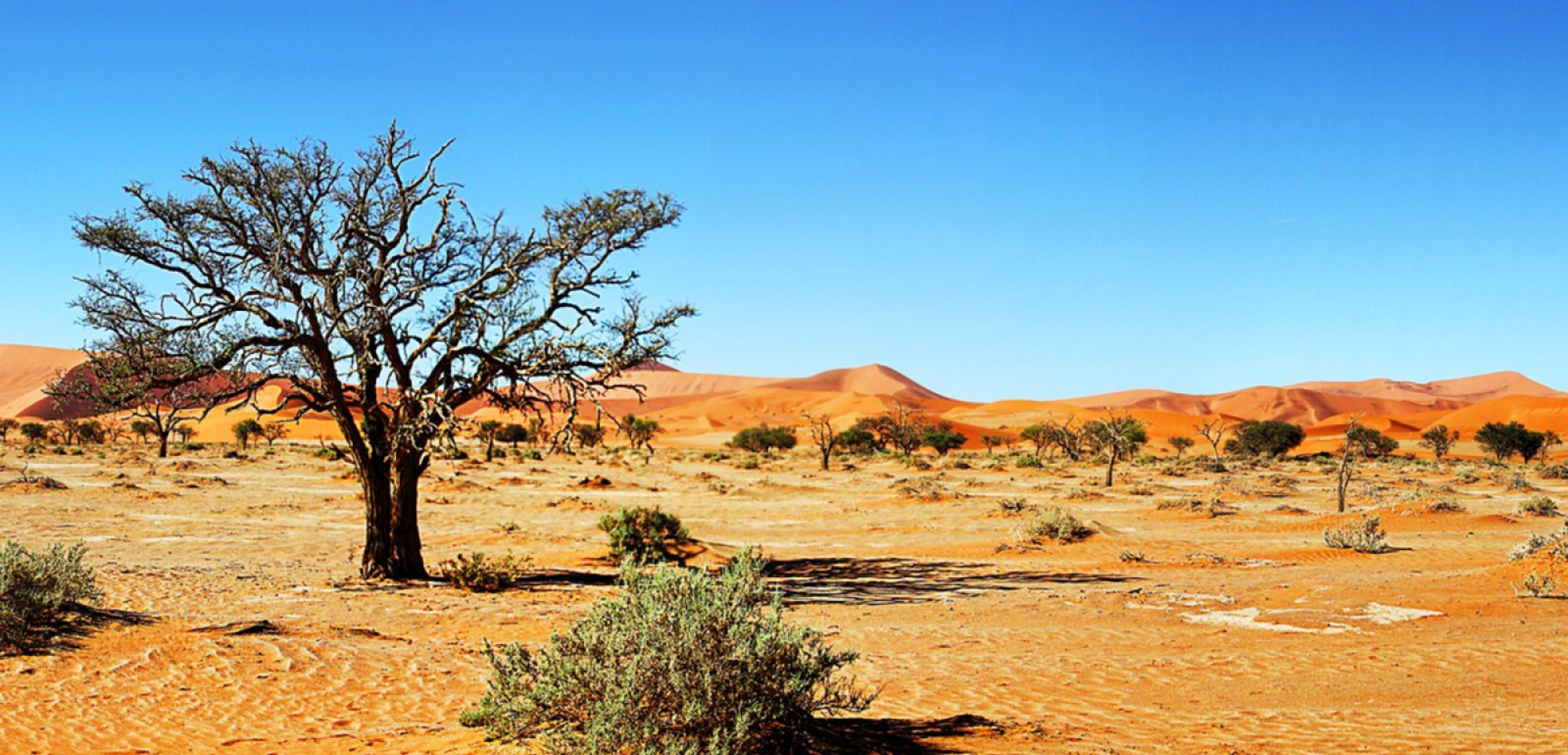 Il est ensuite temps de dire au revoir à ce pays incroyable ...