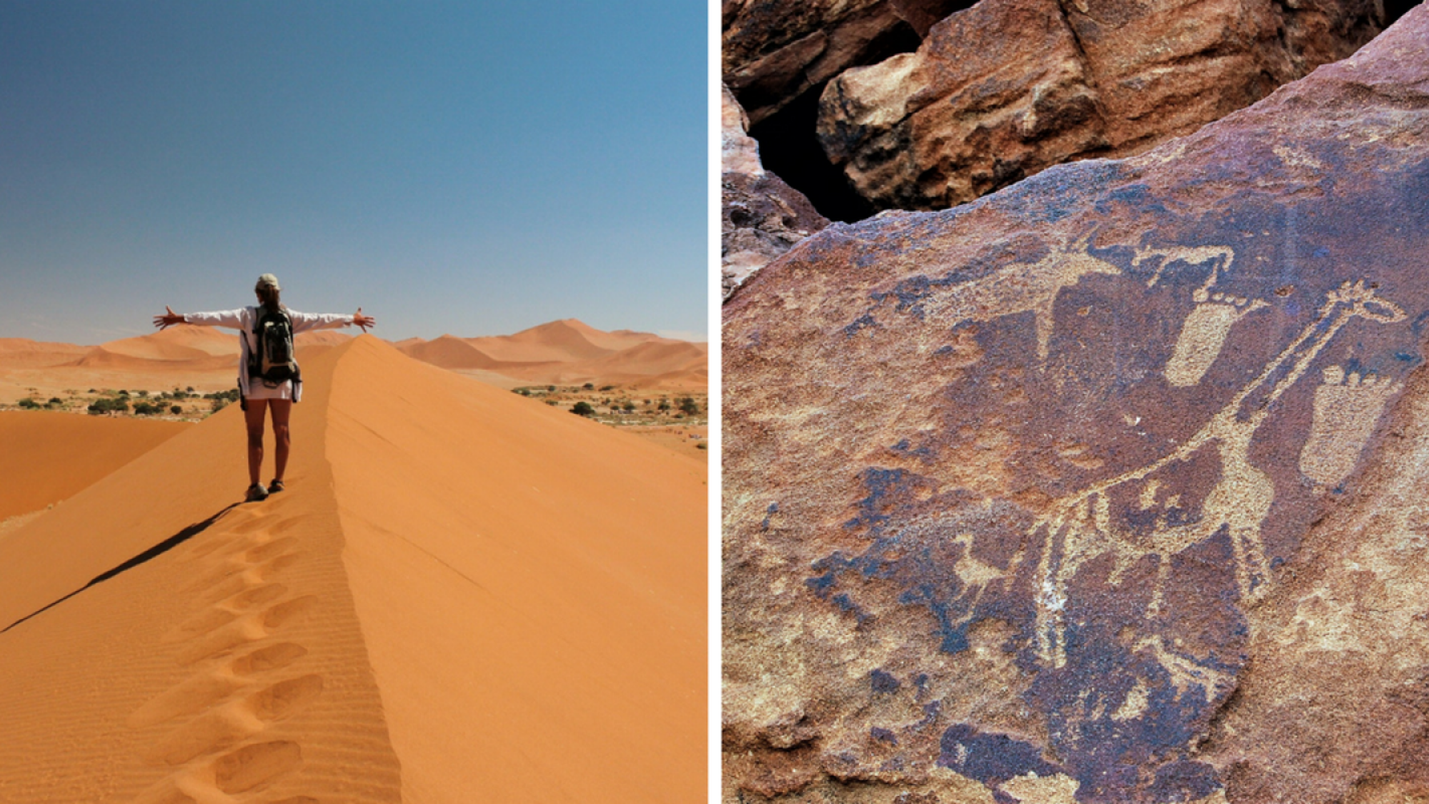 Peintures et gravures primitives à Twyfelfontein