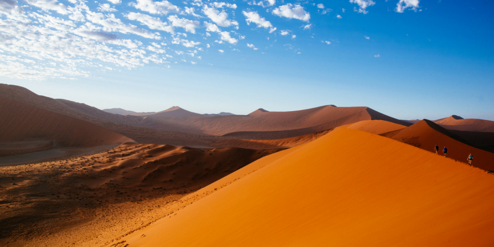 Des dunes à perte de vue !
