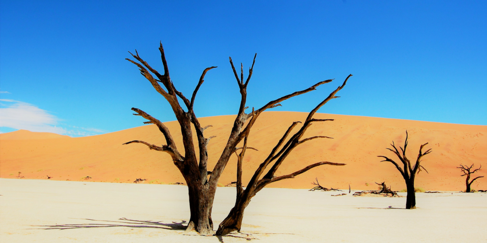 Visitez le site de Sossusvlei dans le désert du Namib
