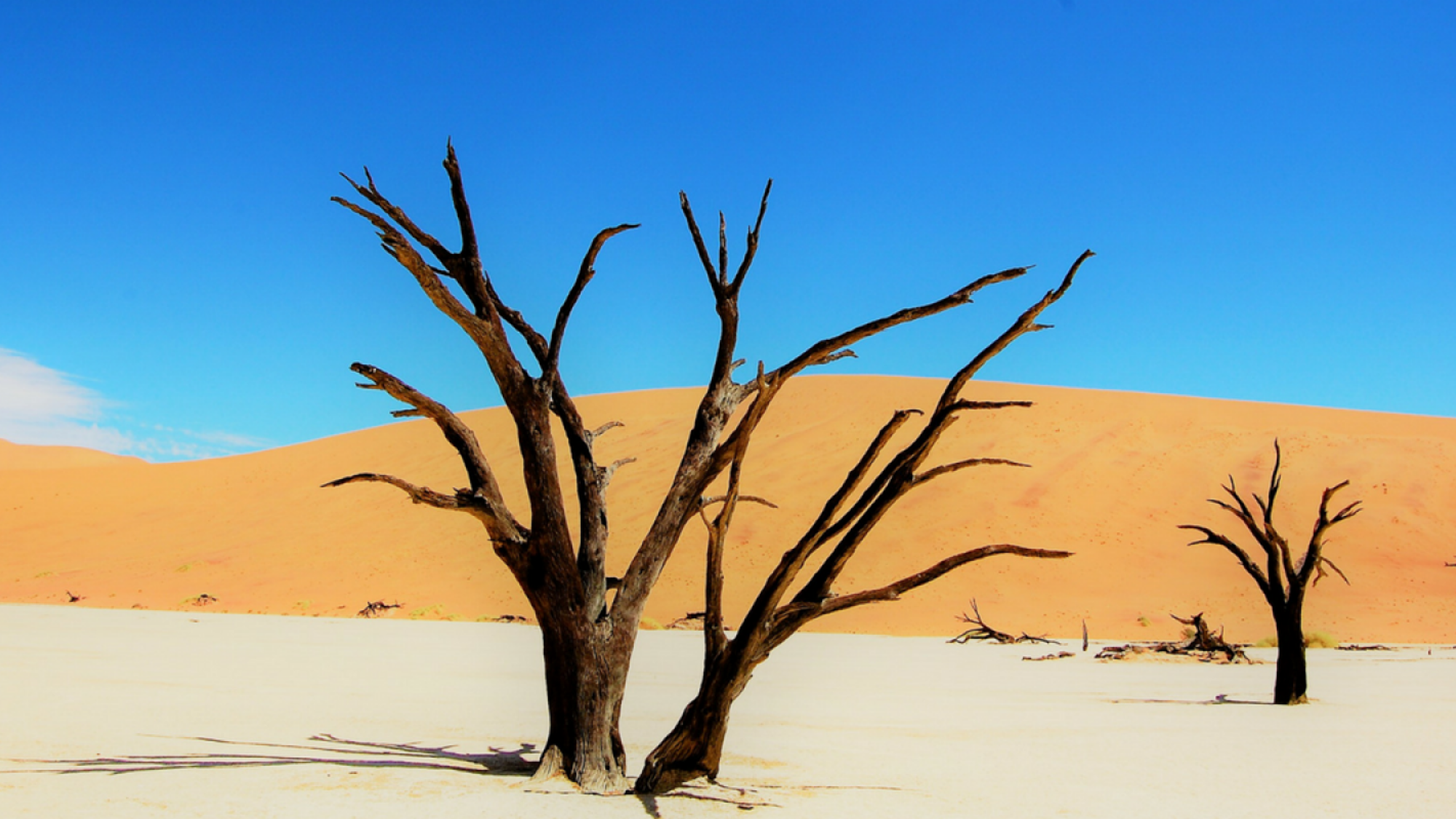 Visitez le site de Sossusvlei dans le désert du Namib