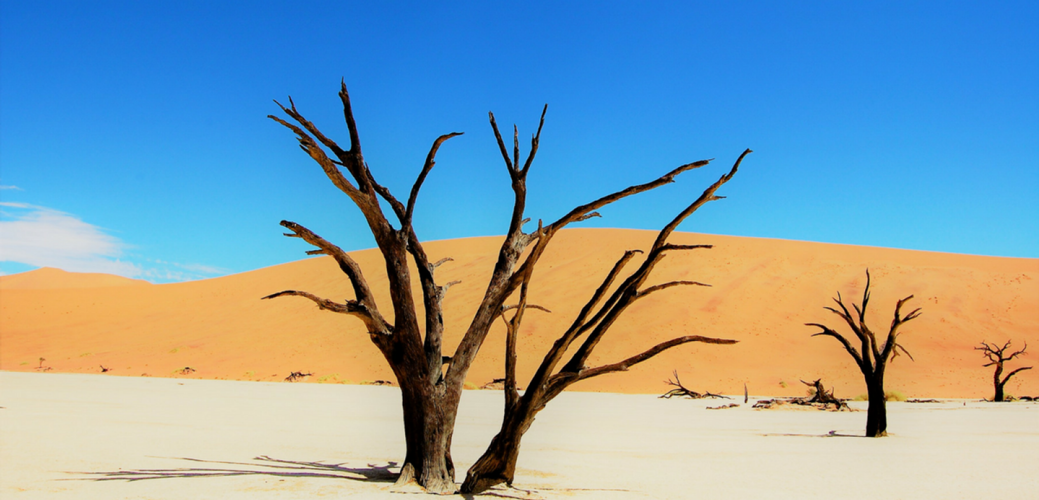 Visitez le site de Sossusvlei dans le désert du Namib