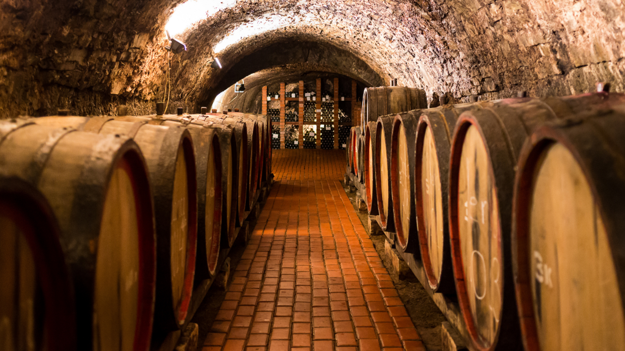 La visite d'une cave de porto et dégustation - jour 3