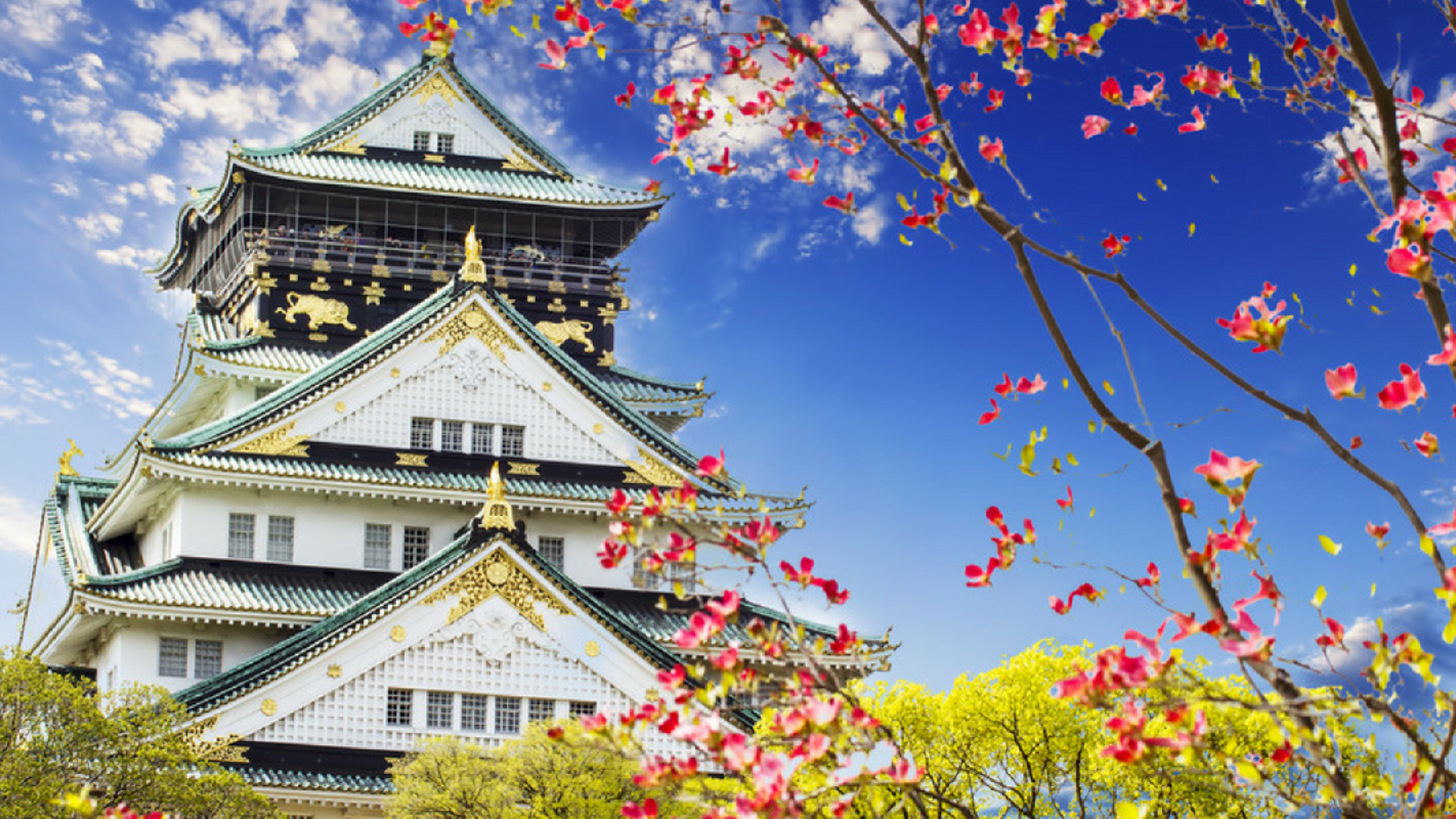 Le magnifique château d'Ôsaka