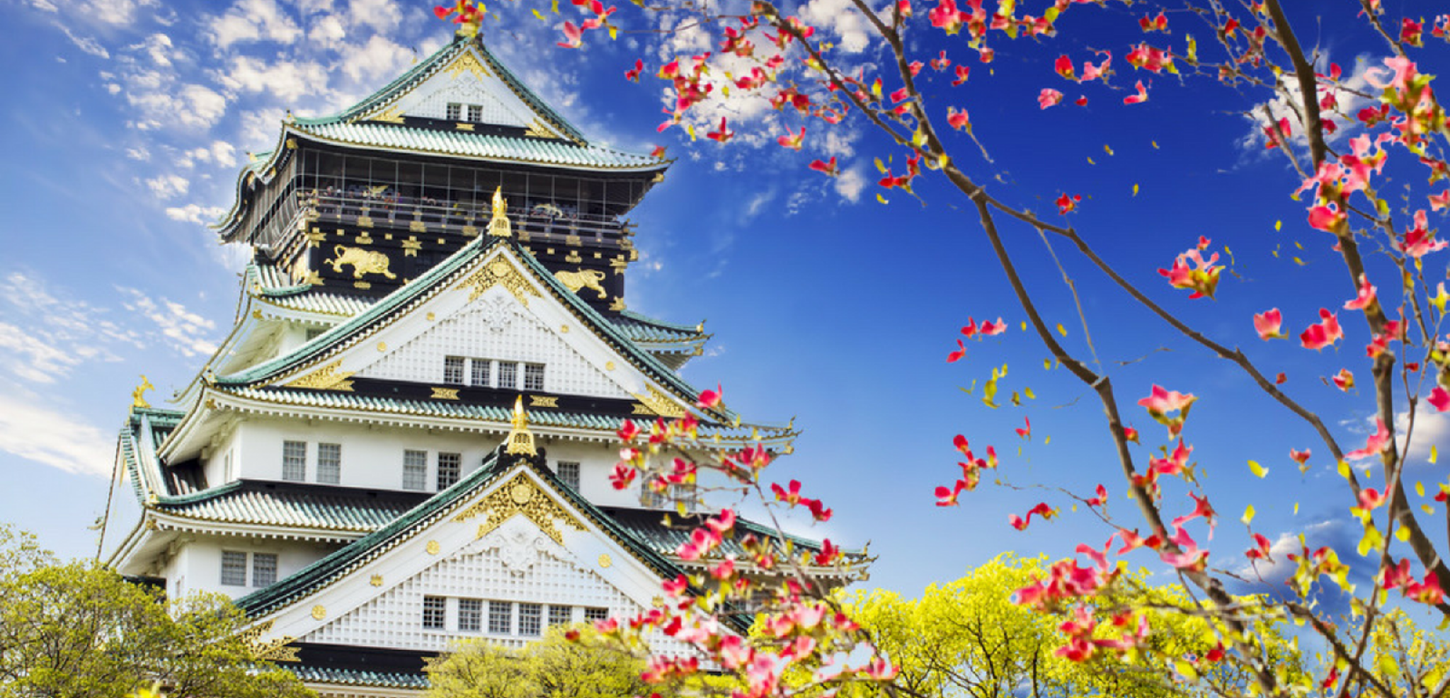 Le magnifique château d'Ôsaka