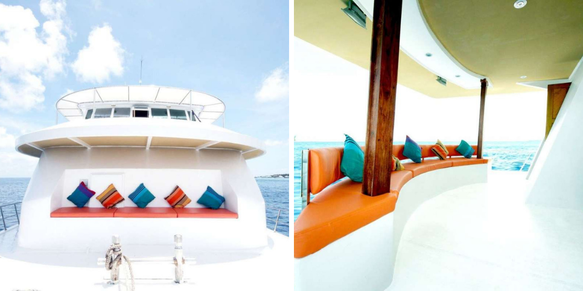 Plutôt soleil ou plutôt ombre ?