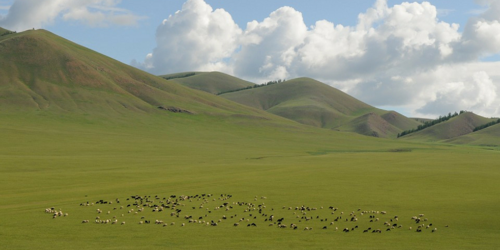 Admirez ces plaines interminables !