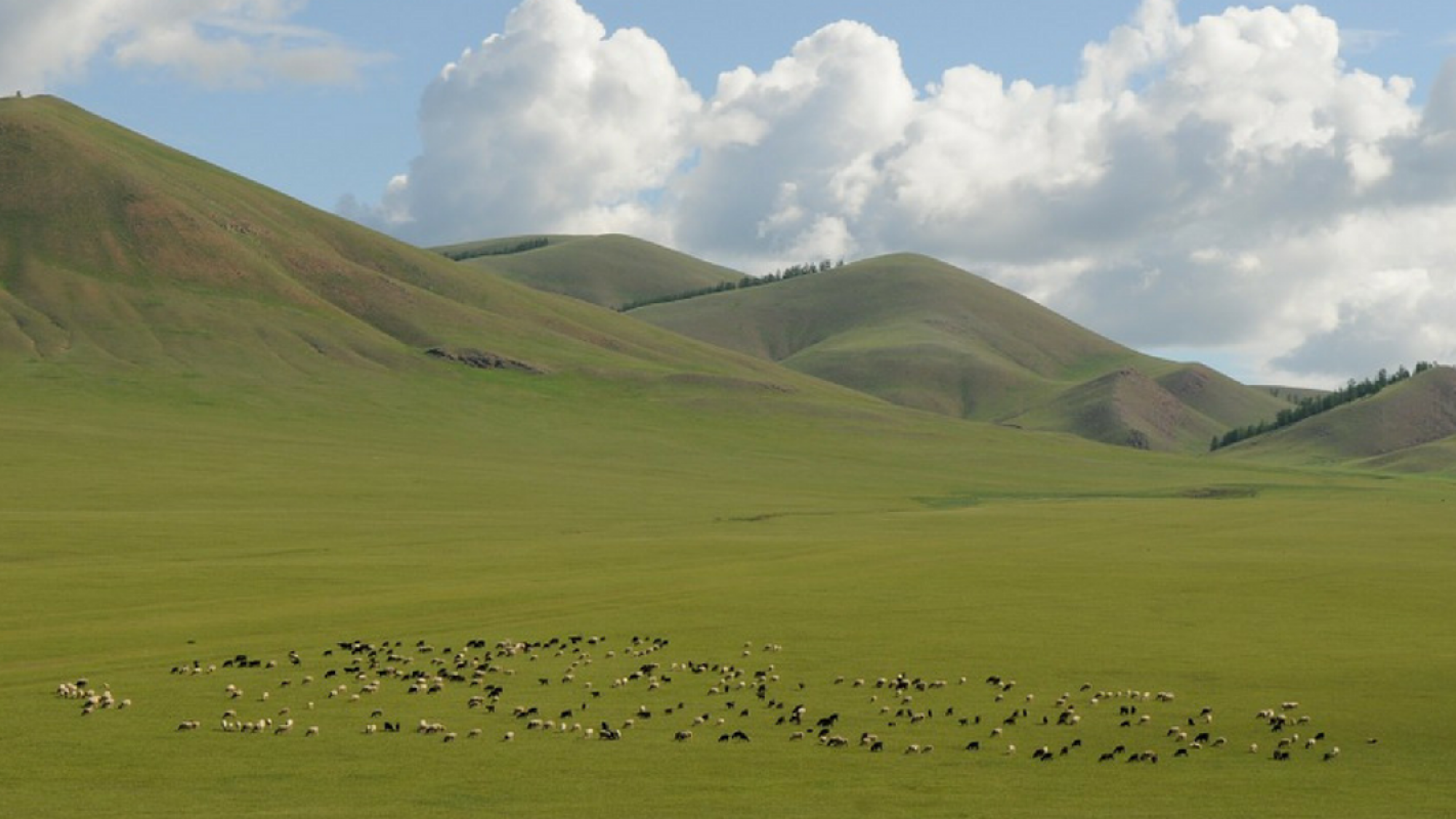 Admirez ces plaines interminables !