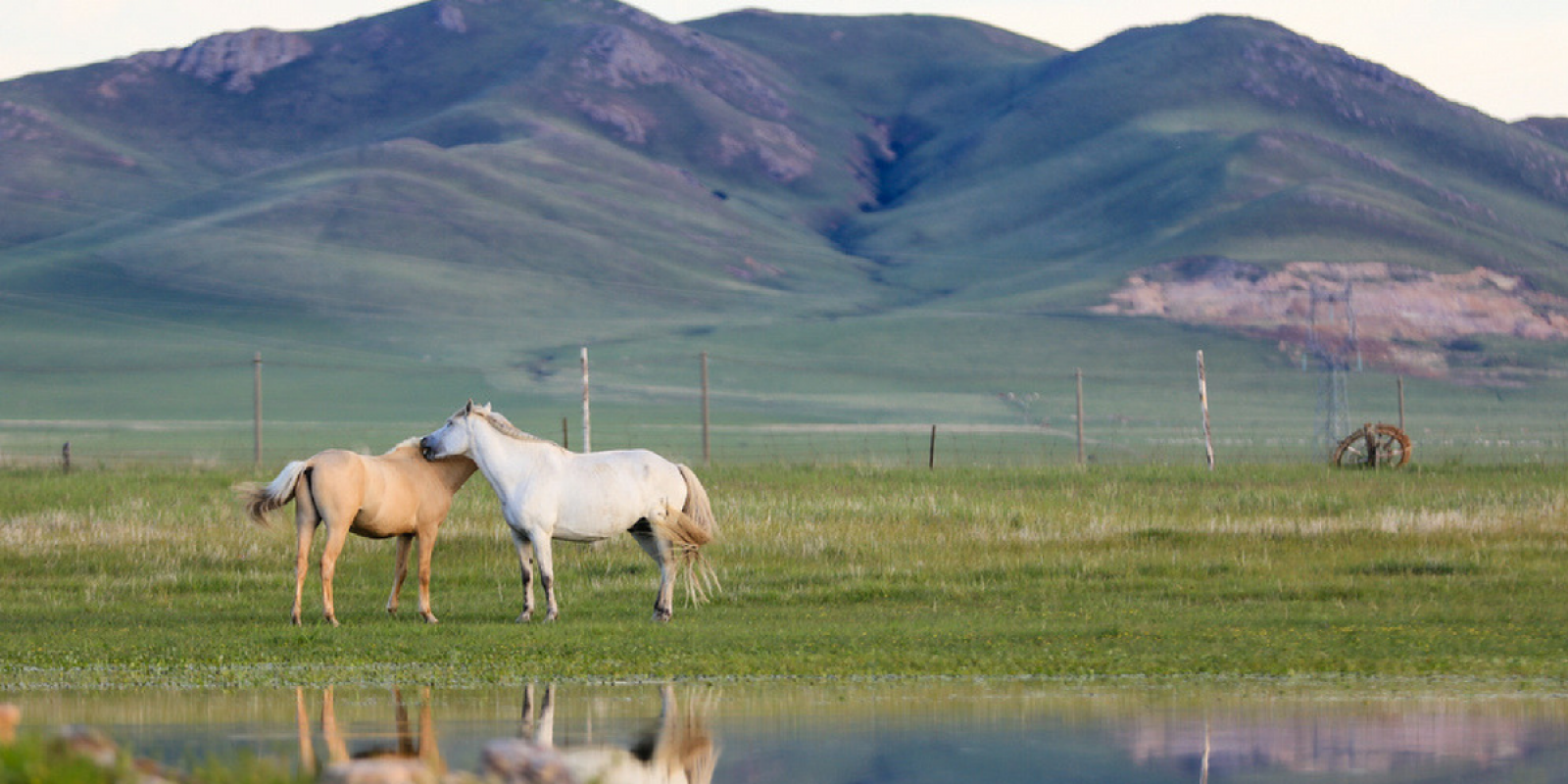 Profitez du calme du pays