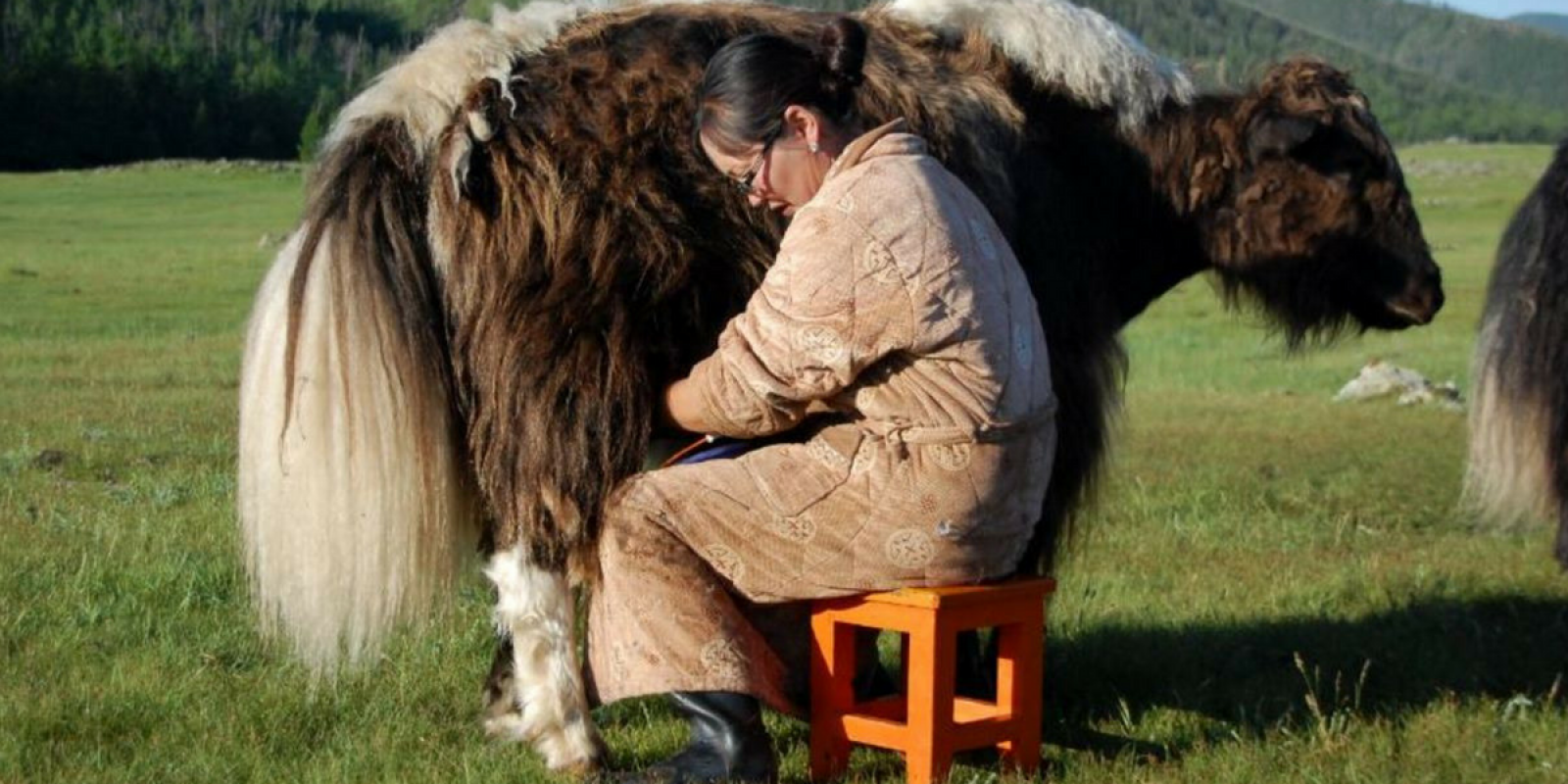 Découvrez les traditions et culture mongoles ! 