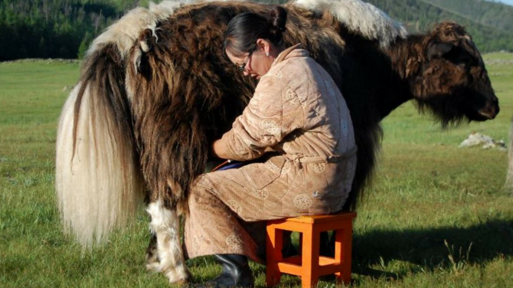 Découvrez les traditions et culture mongoles !