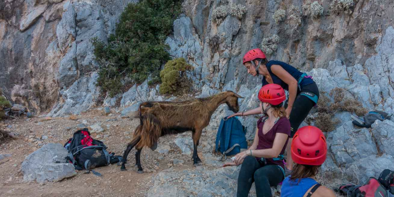 Un invité surprise !