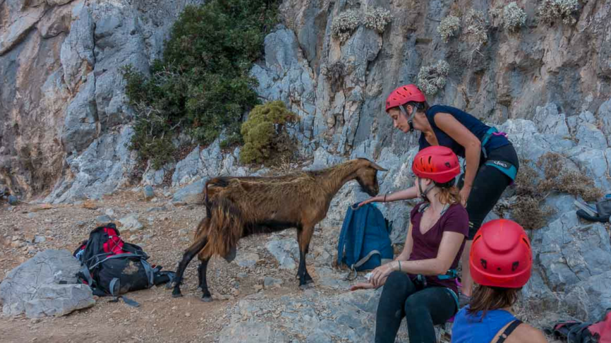 Un invité surprise !