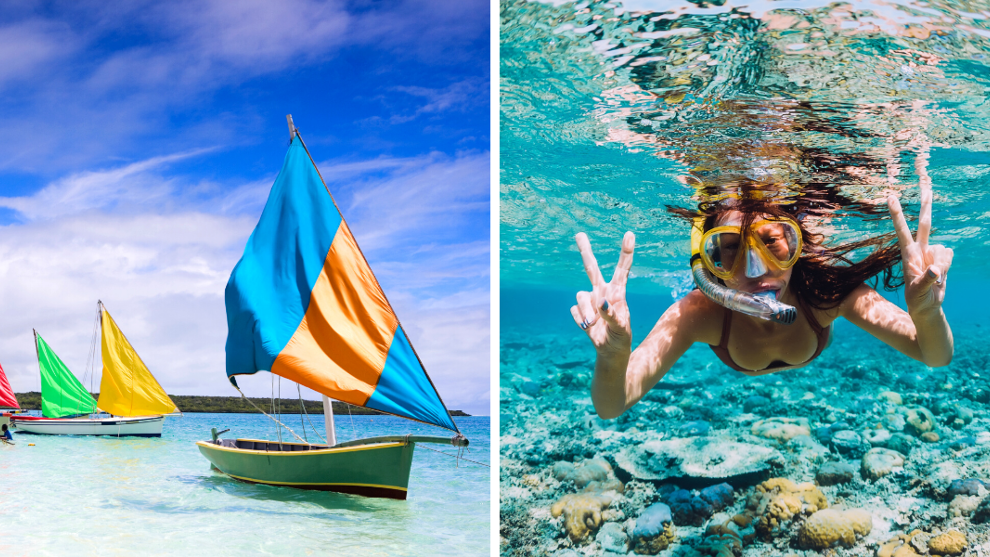 Entre 2 épreuves, explorez les fonds marins...