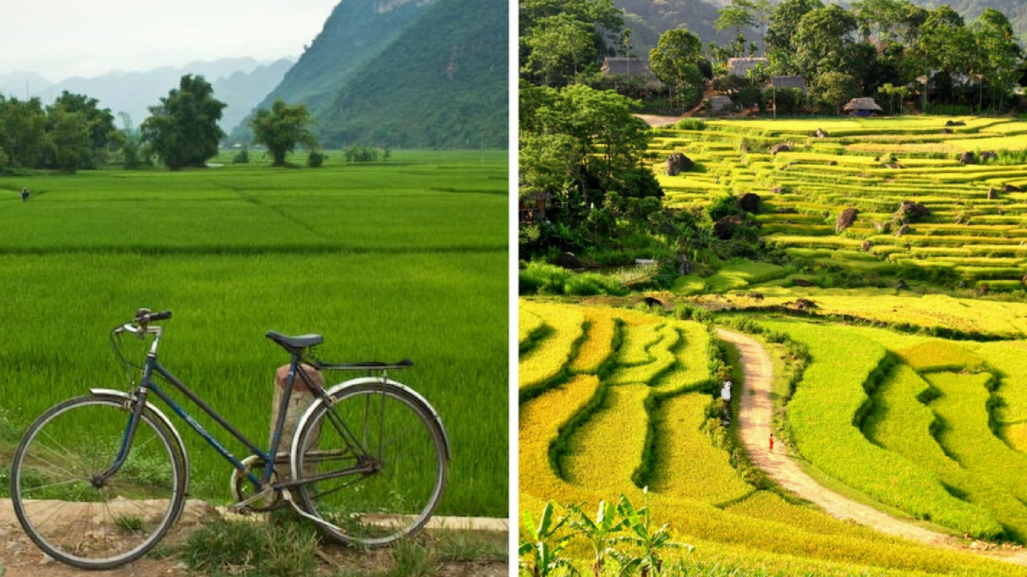 C'est le moment de profiter !