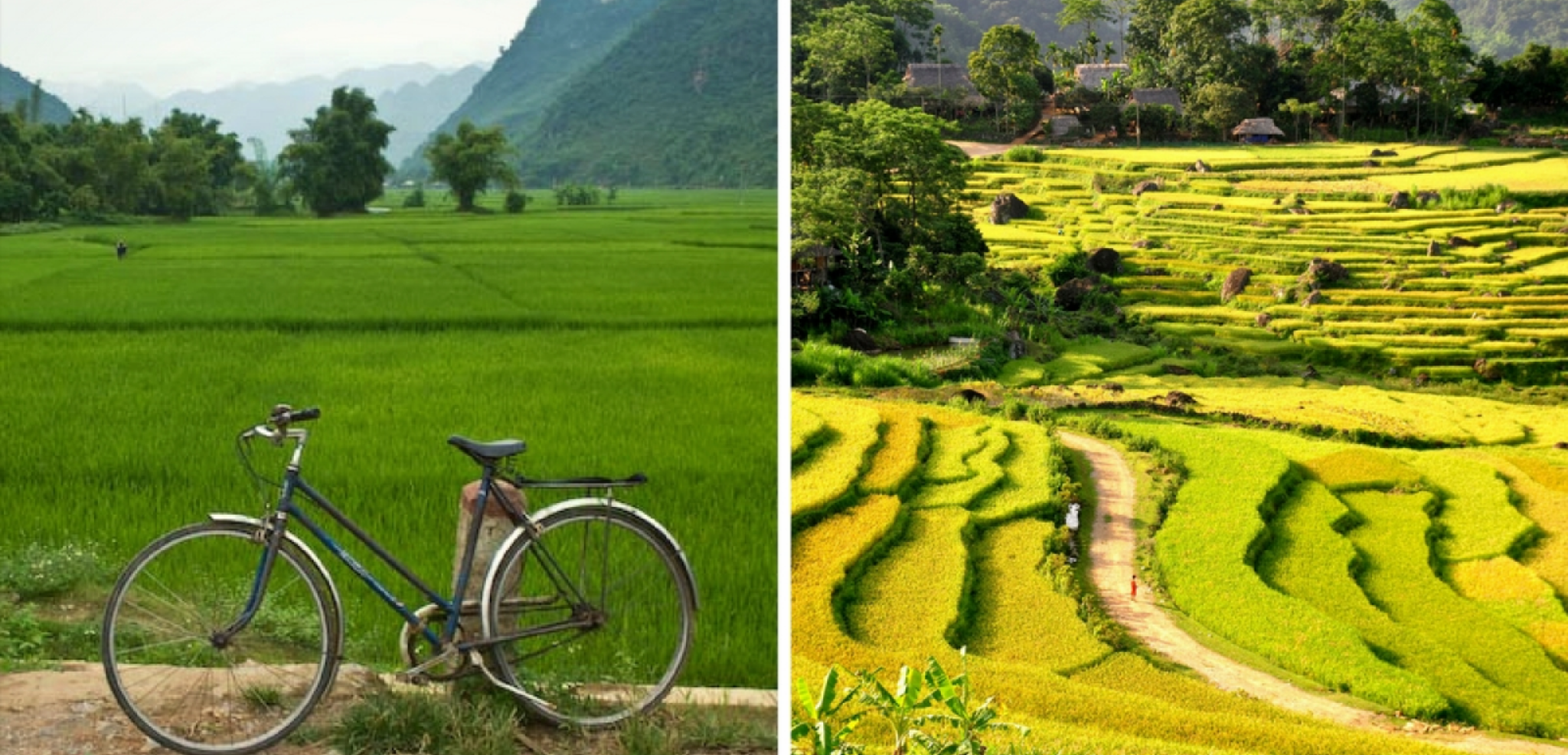 C'est le moment de profiter !