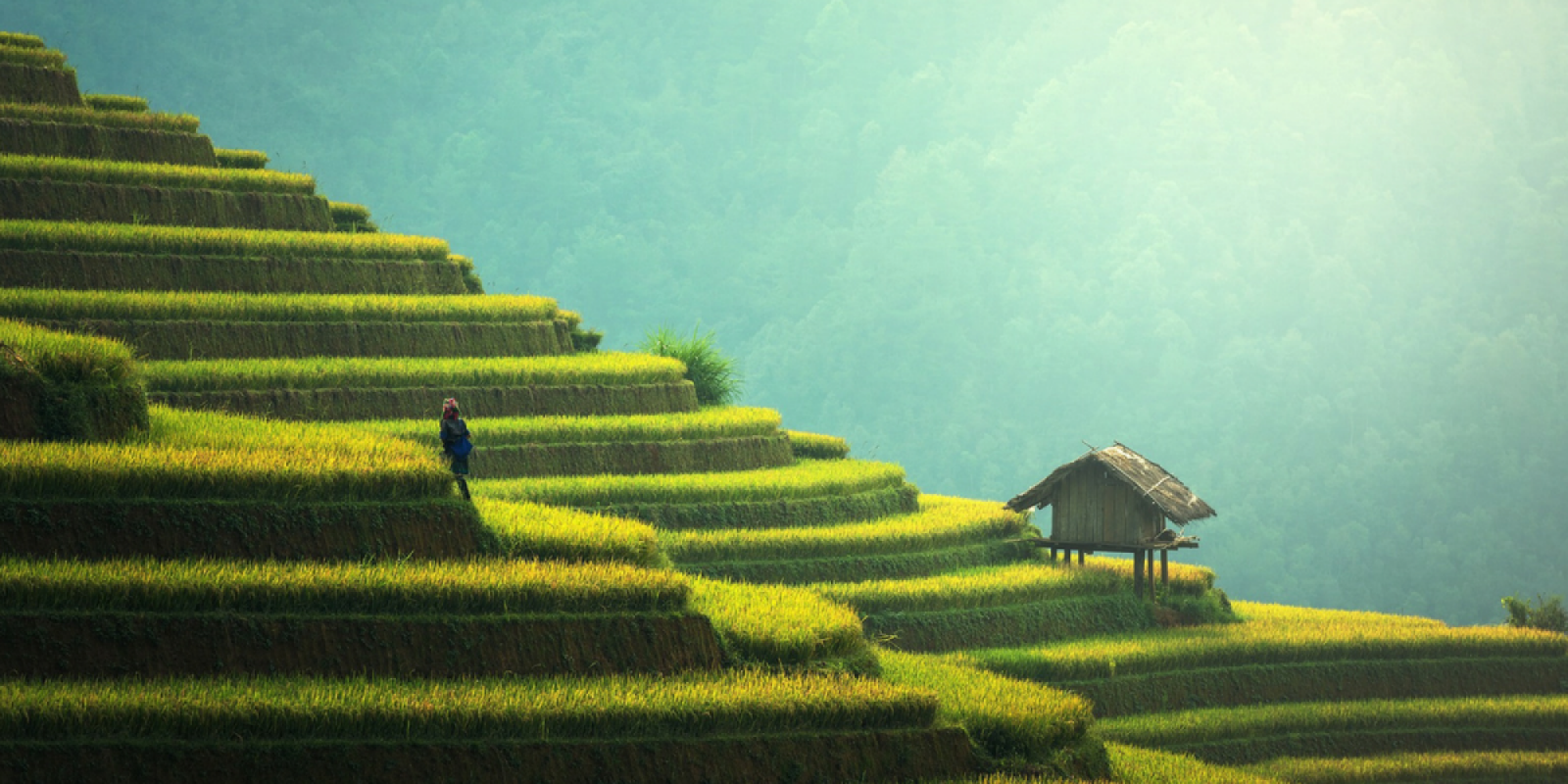 Admirer ses paysages insoupçonnables...