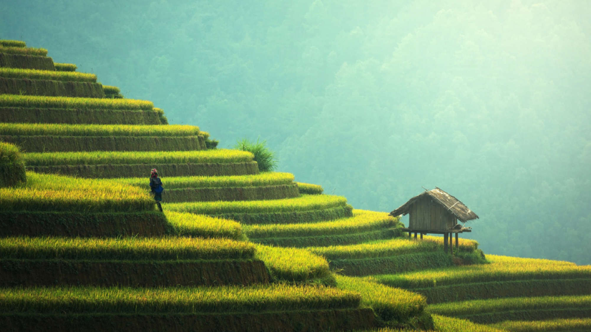 Admirer ses paysages insoupçonnables...