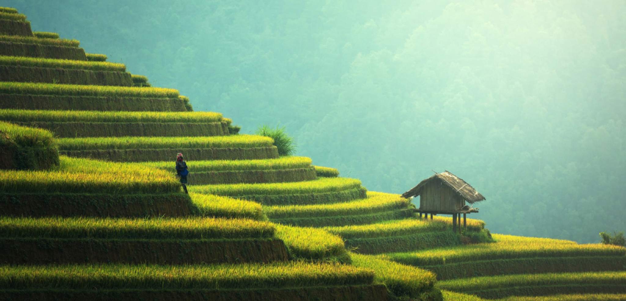 Admirer ses paysages insoupçonnables...