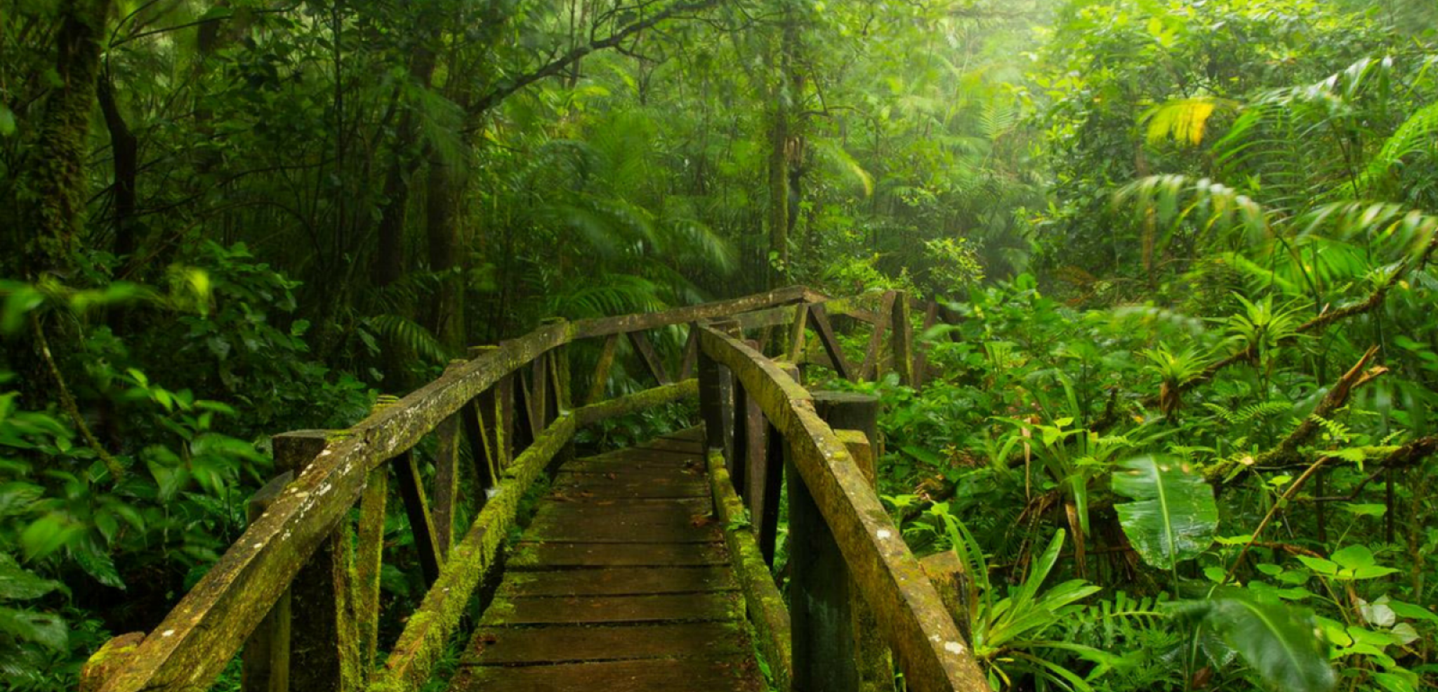 Une nature époustouflante !