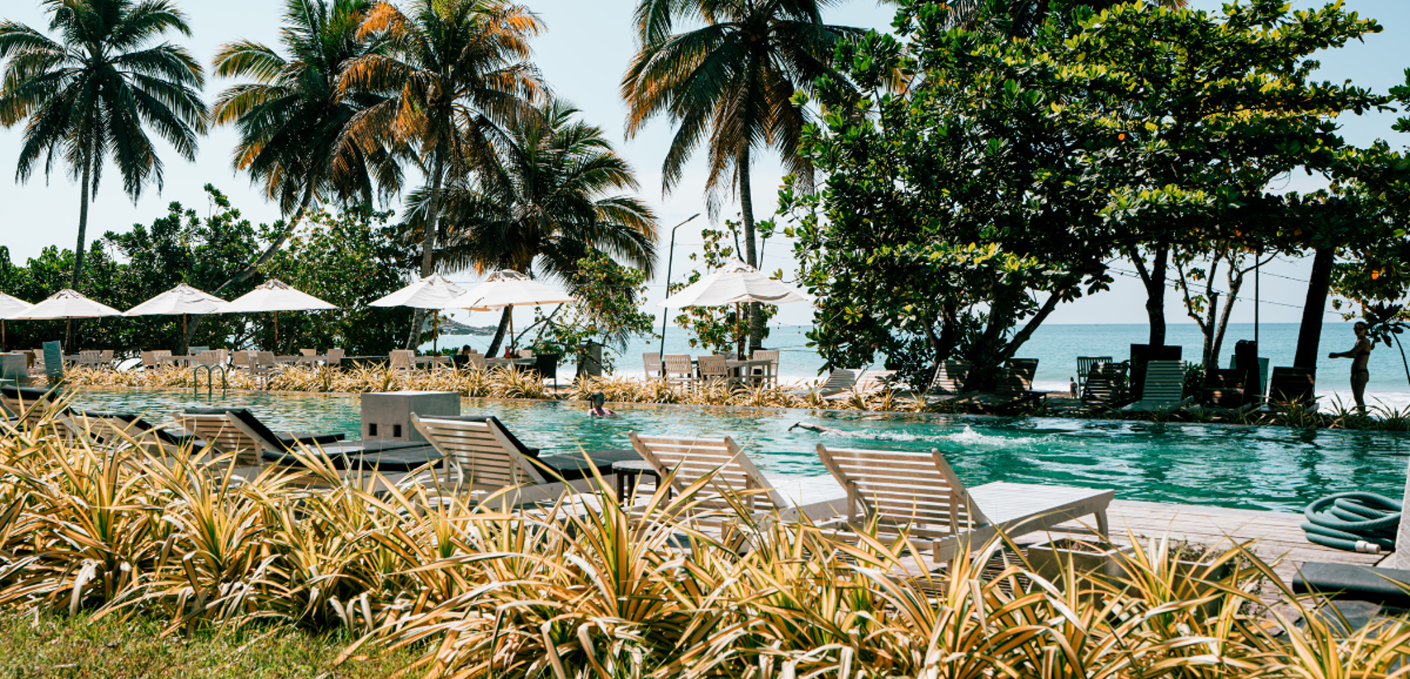 Votre hôtel de Mirissa, en bord de mer - Jours 8 et 9