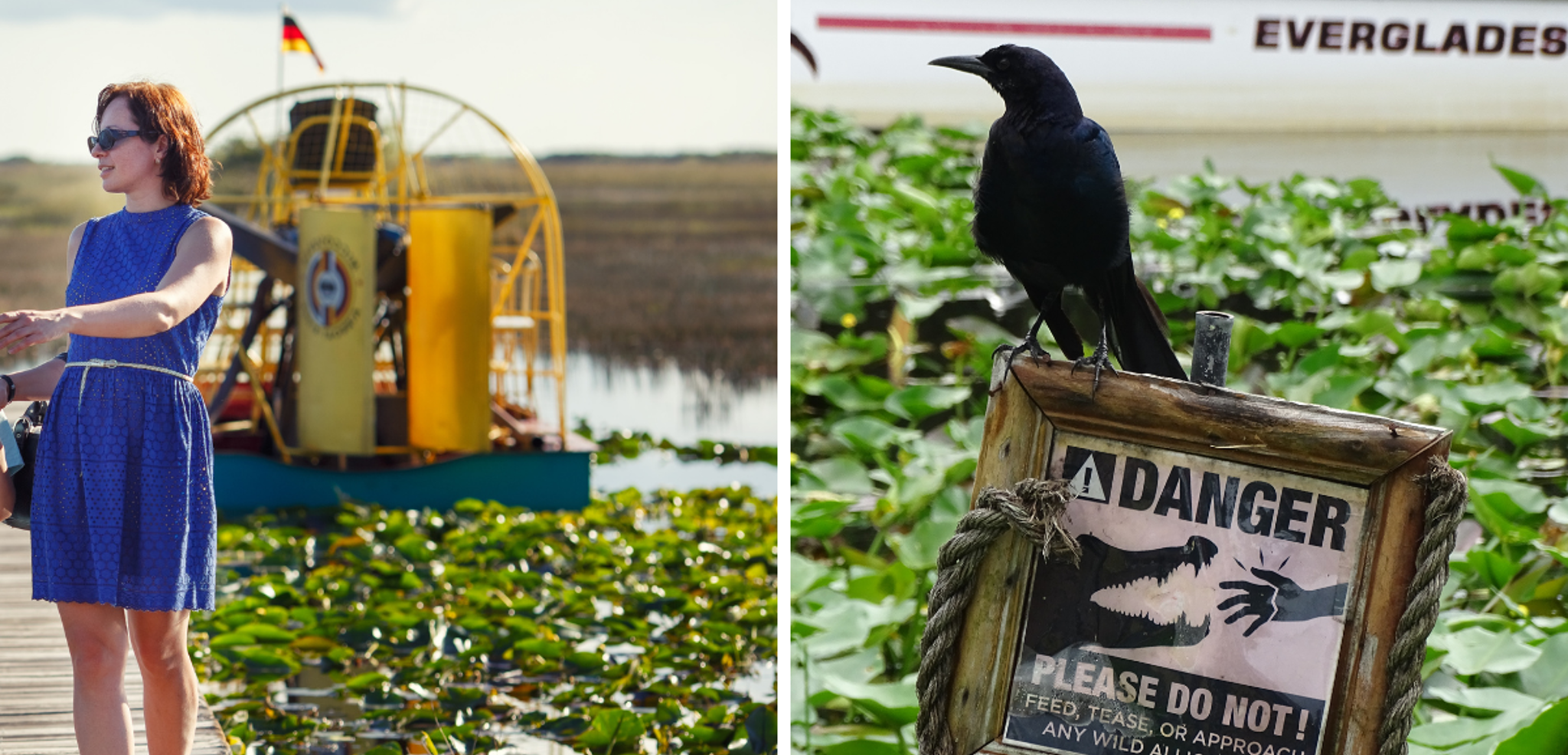Pour une virée en airboat