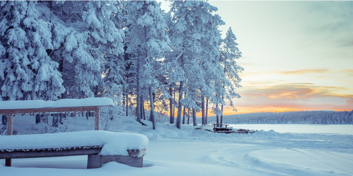 Sur les bords du lac