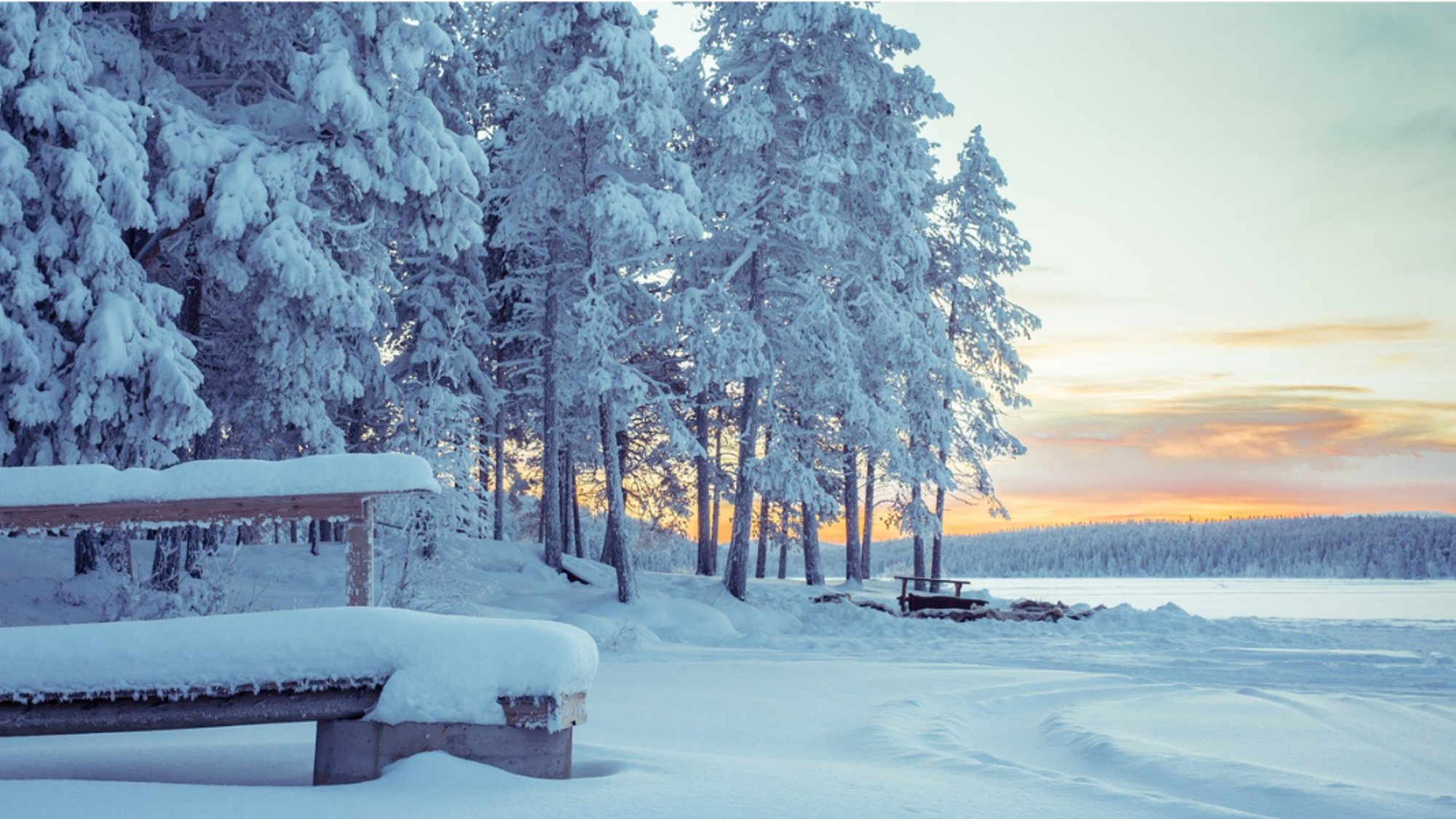 Sur les bords du lac