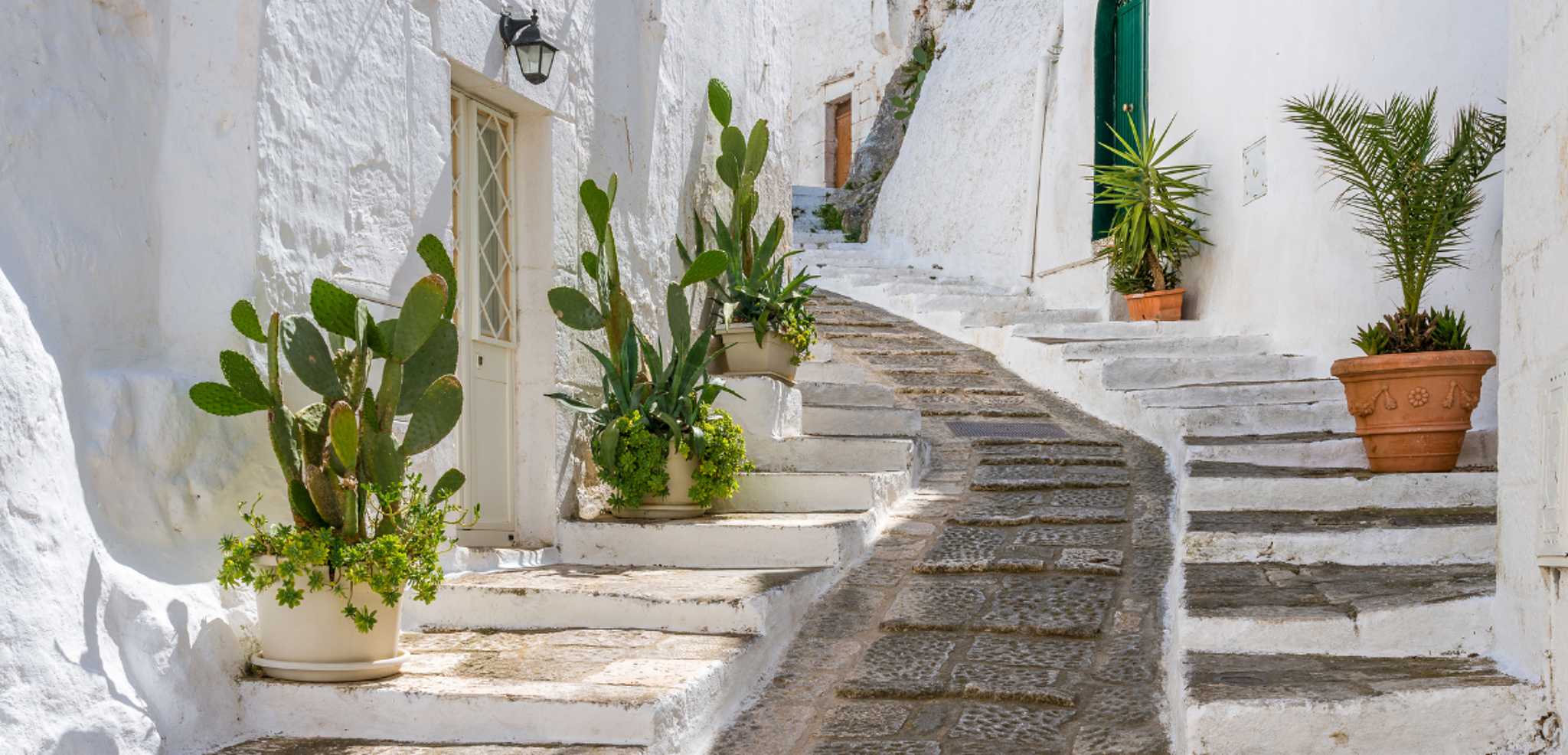 Dans les ruelles d'Ostuni, cactus et murs à la chaux