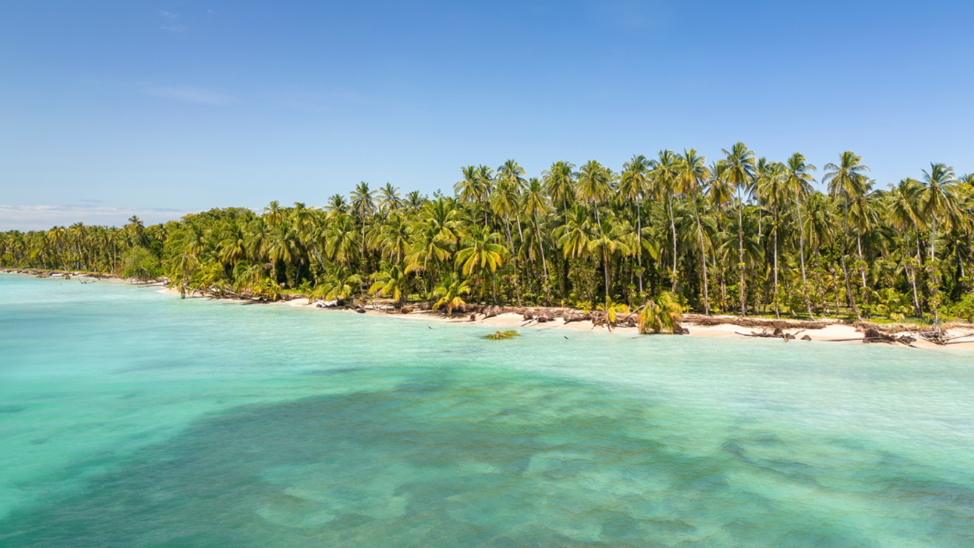 La plage paradisiaque d'Isla Zapatilla, à Bocas del Toro - jour 7