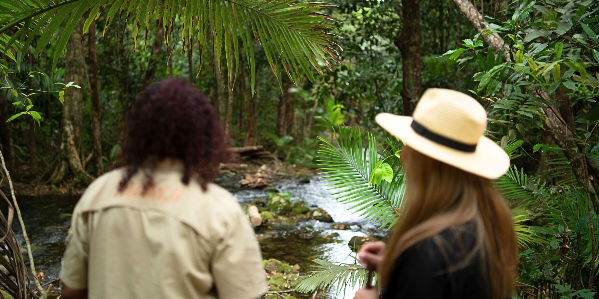 Forêt primaire Mossman Gorge, Australie