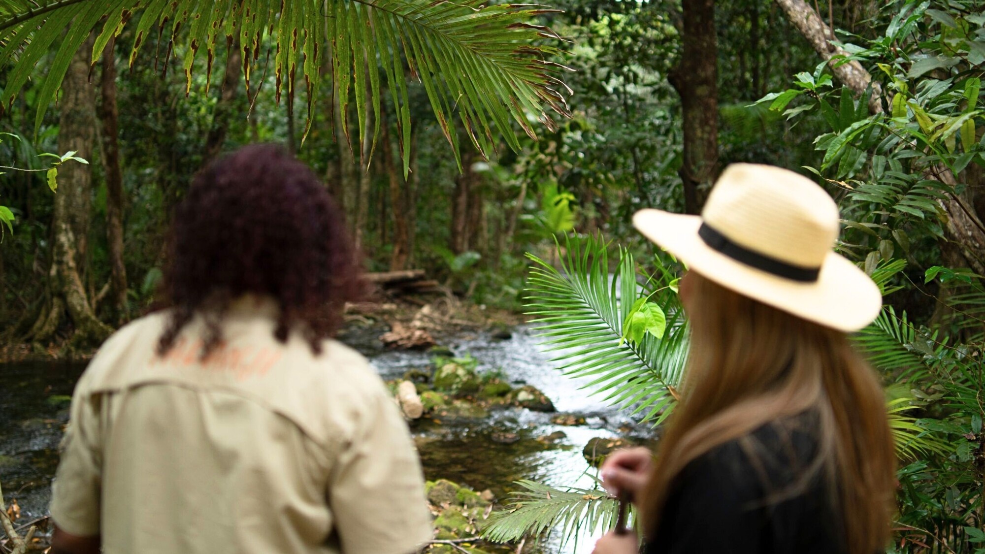 Forêt primaire Mossman Gorge, Australie