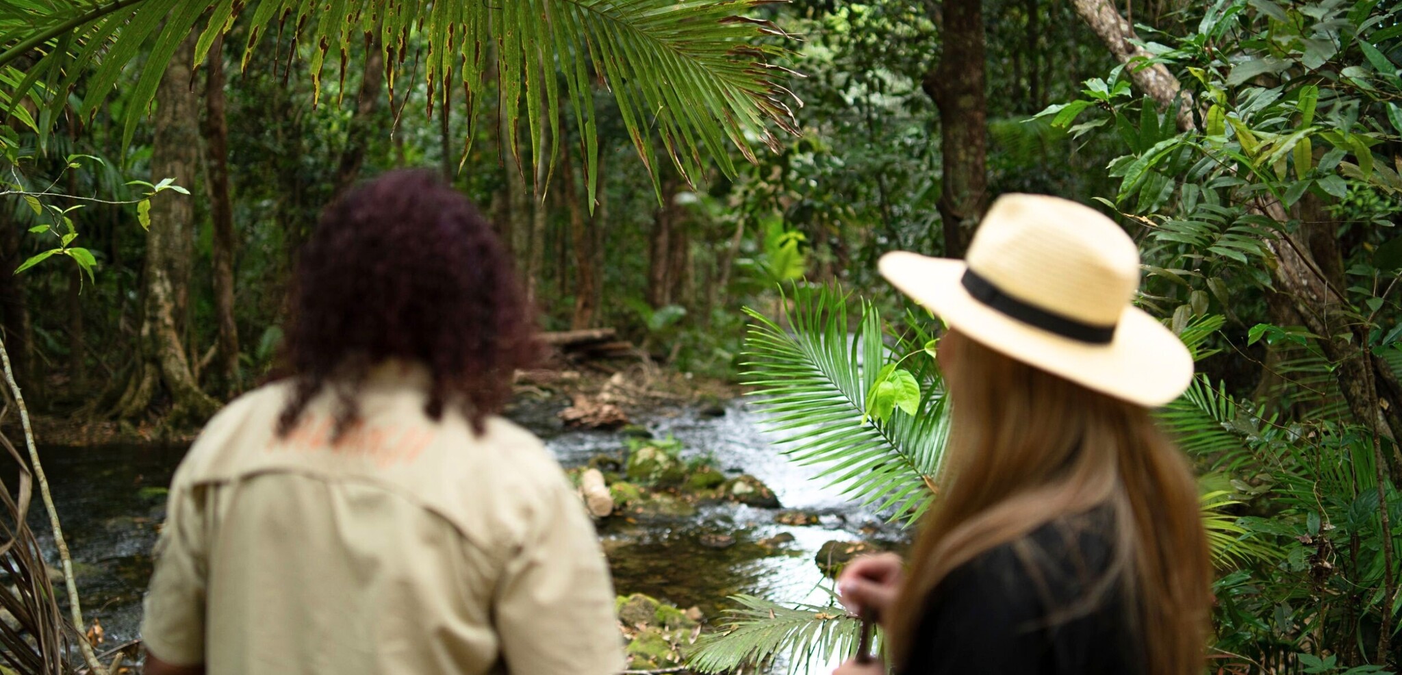 Forêt primaire Mossman Gorge, Australie