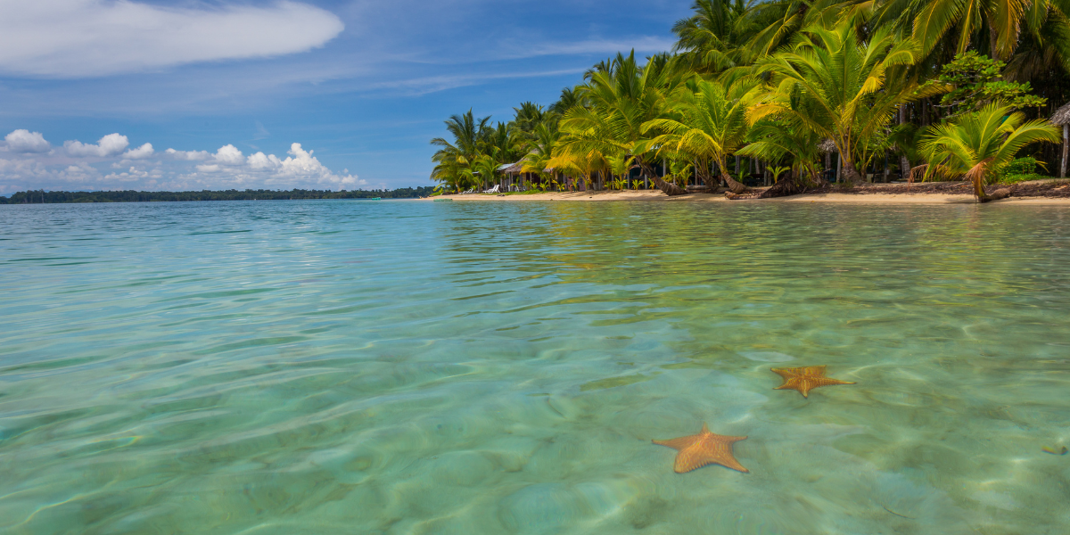 Une baignade avec les étoiles de mer de Playa Estrella - jour 9 