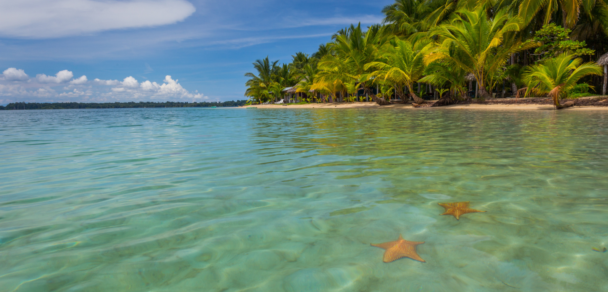 Une baignade avec les étoiles de mer de Playa Estrella - jour 9